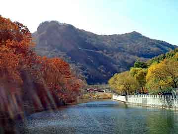 澳门天天免费精准大全，全球巅峰